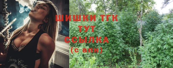 стаф Верхний Тагил