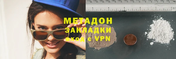 шишки Верея