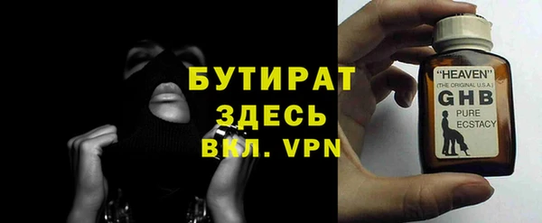 шишки Верея