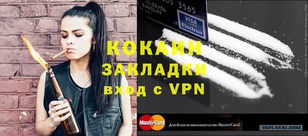 шишки Верея