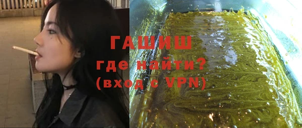 шишки Верея
