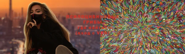 шишки Верея