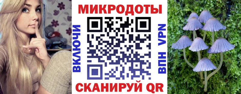 Псилоцибиновые грибы мицелий  купить   Медногорск 